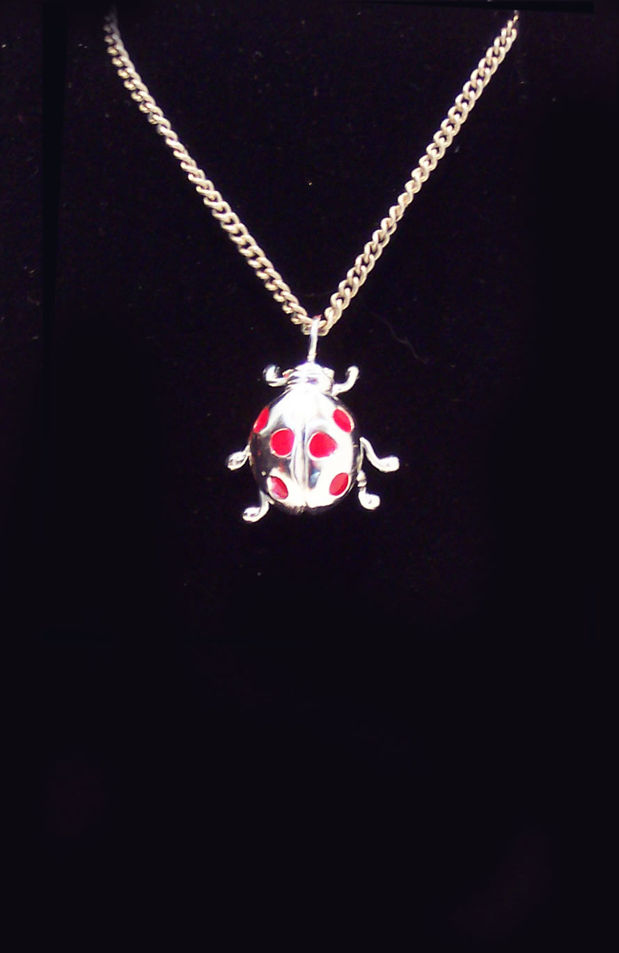 Silver Ladybird Necklace